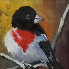 YARY DLUHOS Grosbeak Rose Breasted Bird Nature Animal Original Art Oil Painting