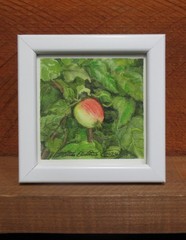 Apple Tree, Nature, 4×4 inch mini painting, framed, plein air watercolor art