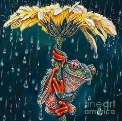 new handmade Painting on 14″*14″ canvas FROG IN THE RAIN by Wendy