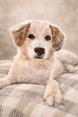 Custom Pet Portrait. Painting From Photo. Hand-Painted Art. Dog, Cat, Animal 20″