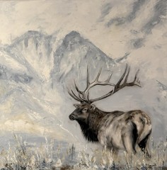 Original Elk Oil Painting Wildlife