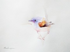 Fairy Wren, Birds, Watercolor artwork, Handmade, Original painting on paper