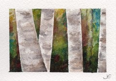 ACEO Original Watercolor Painting Trees Forest Recovery Hope Magic ~ No Reserve