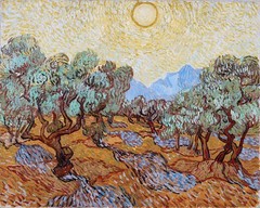 Vincent van Gogh Olive Trees Reproduction – Giclee Canvas/Paper/Stretched