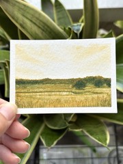 watercolor landscape painting original one of a kind “Golden Florida Sunshine”