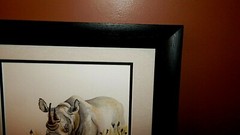 AFRICAN Rhinoceros Original Watercolor Painting, Vibrant, Detailed, Signed, Mint