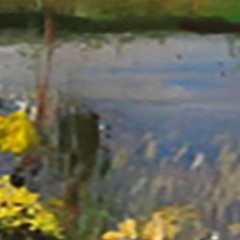 LANDSCAPE Oil painting contemporary 8x12UKRAINE
