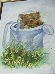 Yorkshire Terrier Framed Painting on Canvas Spring Time Hide & Seek 15″ x 12″ 2