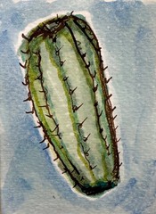 ACEO Original Watercolor Ink Cactus Miniature Art by Bri Sander 3.5 x 2.5” OOAK
