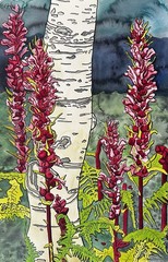 Original Art Watercolor Painting “Sandia Summer” Signed 22 x 15 Flowers Tree