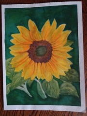 Original watercolor painting of Sunflower/Signed and dated – 14 5/8″ X 11″