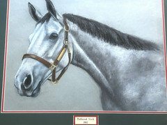 PAIR of 2-Vtg Original Sykes Horse Realism Portrait Pastel Paintings 33“x27“