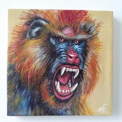 Original Acrylic Painting Colorful Mandrill Monkey Portrait Small Hand Painted