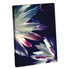 BLOSSOMS TOUCH by Steven A. Heller 1 Piece Unframed Canvas Drawing Print Abstrac