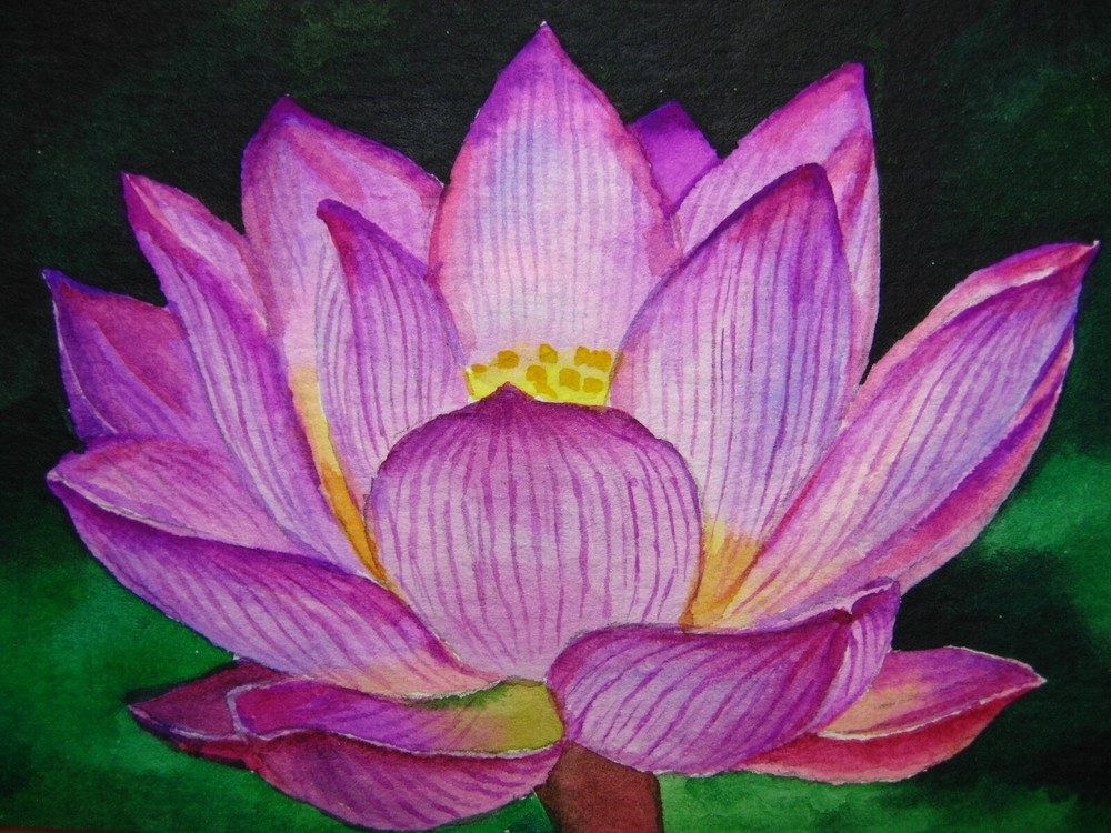 Watercolor Painting Water Lily Flowers ACEO Art