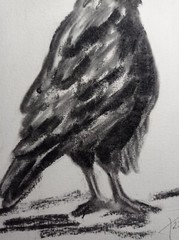 Original Painting Black raven Drawing Wall Art 6 x 8″