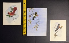 Three (3) Original Bird Art Watercolor Christmas Cards Signed By Edmund Sawyer