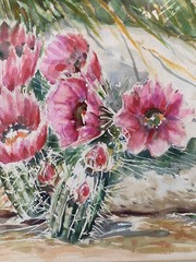 Vtg Watercolor Painting Cactus Bloom Floral Landscape Arizona Desert By Roy Roth