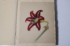 IMPORTANT EARLY AMERICAN FRIENDSHIP PAINTING ALBUM Mary Balmanno Eliza Quincy +