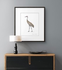 Sandhill Crane 05 – 8″x10″ Giclee Print of Hand-Painted Watercolor, Unframed