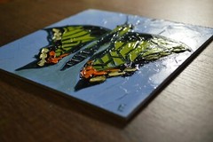 Butterfly Insect Oil Painting Original Artwork Wings Animal Wall Decor 6 х 6 in