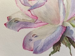 HYPERREALISM Flowers VINTAGE PINK Rose Original Artwork Painting Floral Gift A4