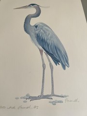 Watercolor Painting Crane Print 27/250 Signed 10” x 14” Unframed