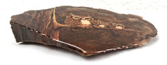 VTG Hand Painted Sweet Owl Family On Stone Agate Epoxy Slab Signed L.W. Cox 6″