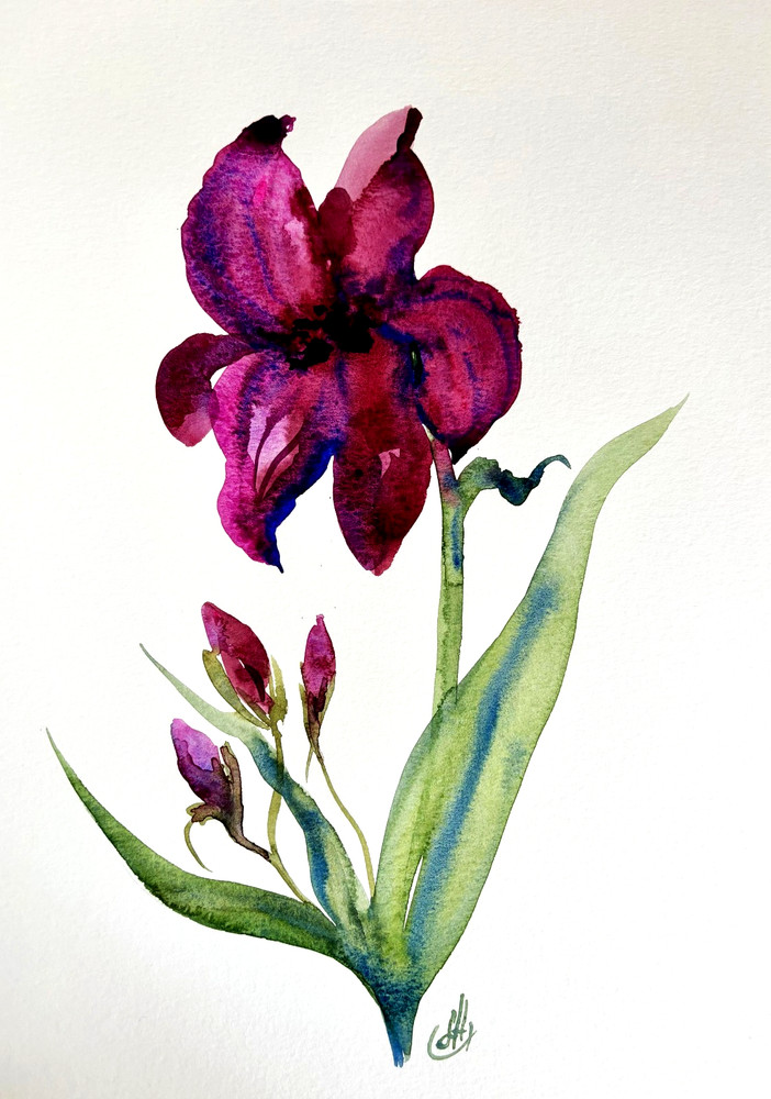 Original Purple Iris Watercolor Painting Floral Art Signed