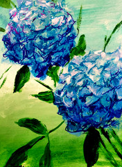 LOVELESS – „BLUE HYDRANGEAS“ 11 X 15 acrylic on gallery paper