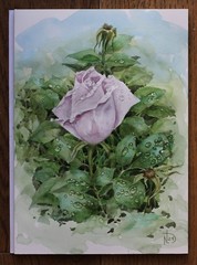 Rose Original Watercolor Painting Pale Pink Purple Garden Flowers After Rain Art
