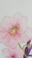 Zetta Jones Original Floral Watercolor Painting Signed Fine Art Framed Flower