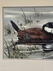 JOE GARCIA PAINTING DUCK BIRD NATURE POND LANDSCAPE REALISM REALISTIC FAMOUS