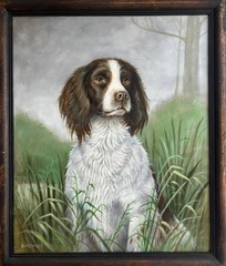 Vintage Oil Painting British Portrait of Faithful SPRINGER SPANIEL DOG Beautiful
