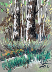 Birches Landscape Impressionism Pastel Painting Drawing Dorothy Laz Vine