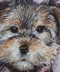 Original Small Watercolor Painting 6″ x 4″ Yorkshire Terrier Puppy NOT A PRINT