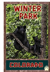 Wholesale Lot Of 15 National Parks Travel Posters All Diffrent Art can Resell