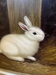 Vtg 9.5 x 7.25 Oil Painting Beckmann Two Rabbits Canvas Art Framed 12.25 X 14.25