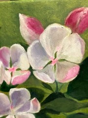 Apple Tree Blooming Spring Floral Original Painting Oil 20.5×20.5cm On eBay