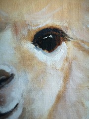 Original oil painting Alpaca Portrait Small wall art Animals 100% Handmade 8×12