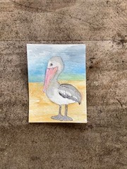 Aceo By Kenna Painting Pelican bird Art 2.5” X 3.5” Signed