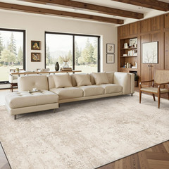 Washable Rugs 8X10, Anti-Slip Backing Abstract 8X10 Area Rugs for Living Room, F