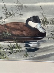 JOE GARCIA PAINTING DUCK BIRD NATURE POND LANDSCAPE REALISM REALISTIC FAMOUS