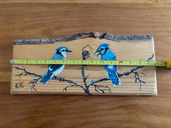 Hand Painted Blue Jays on Raw Edge Wood, Vermont Artist