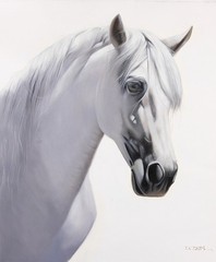 Framed Oil Painting, White Horse Portrait, Signed by D J Kim, Korean Art