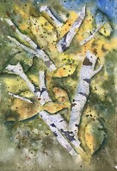“When Aspens Dance” Signed, Unframed Orig 7×10” Watercolor on 100% cotton paper