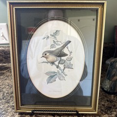 Set Of 4 John Murr Paintings 1956-1950 (Excludes1958) Manuscript Limited