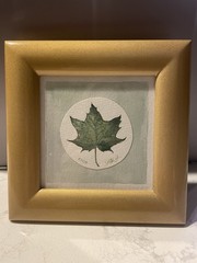 Original Watercolor Leaf Miniature Framed Green Artist Signed 7.5″x7.5″