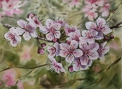 Flower SNOWY CHERRY BLOSSOMS Original Artwork Painting Floral Art Gift Signed A4