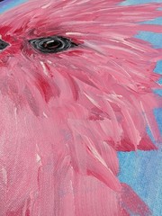 Cockatoo Original Painting 12×16 Canvas Pink Crested Bird Signed Fine Art SWhite